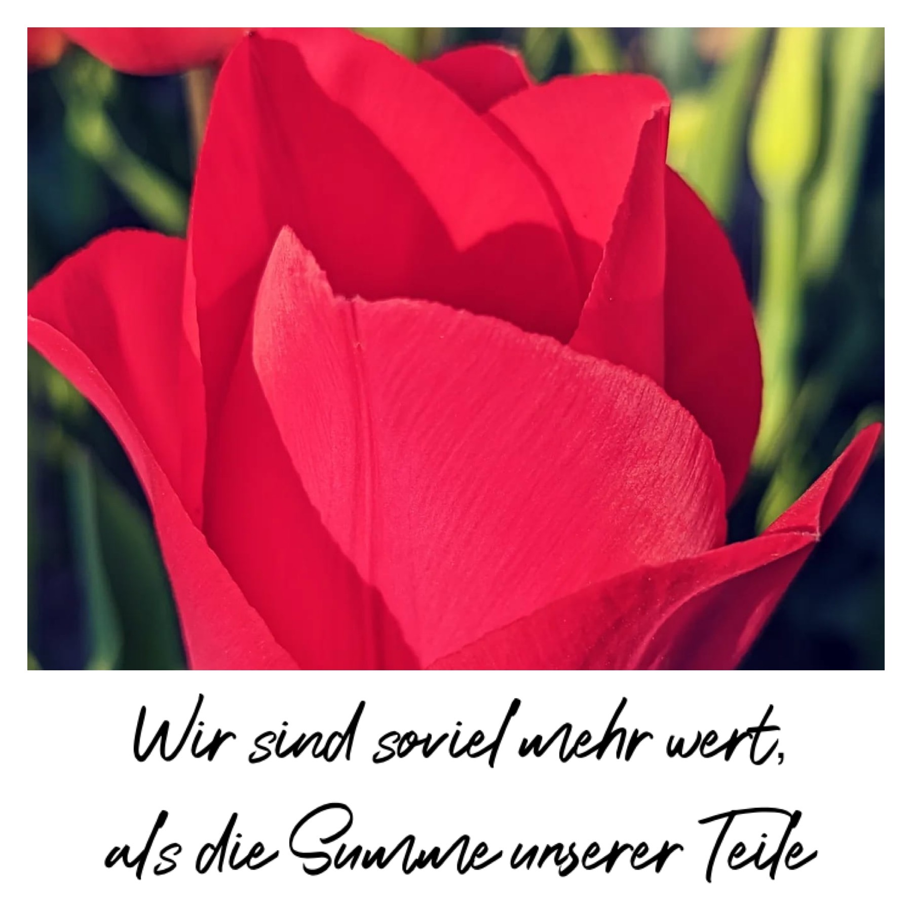 Wir sind so viel mehr wert als die Summe unserer Teile Freie Rednerin
