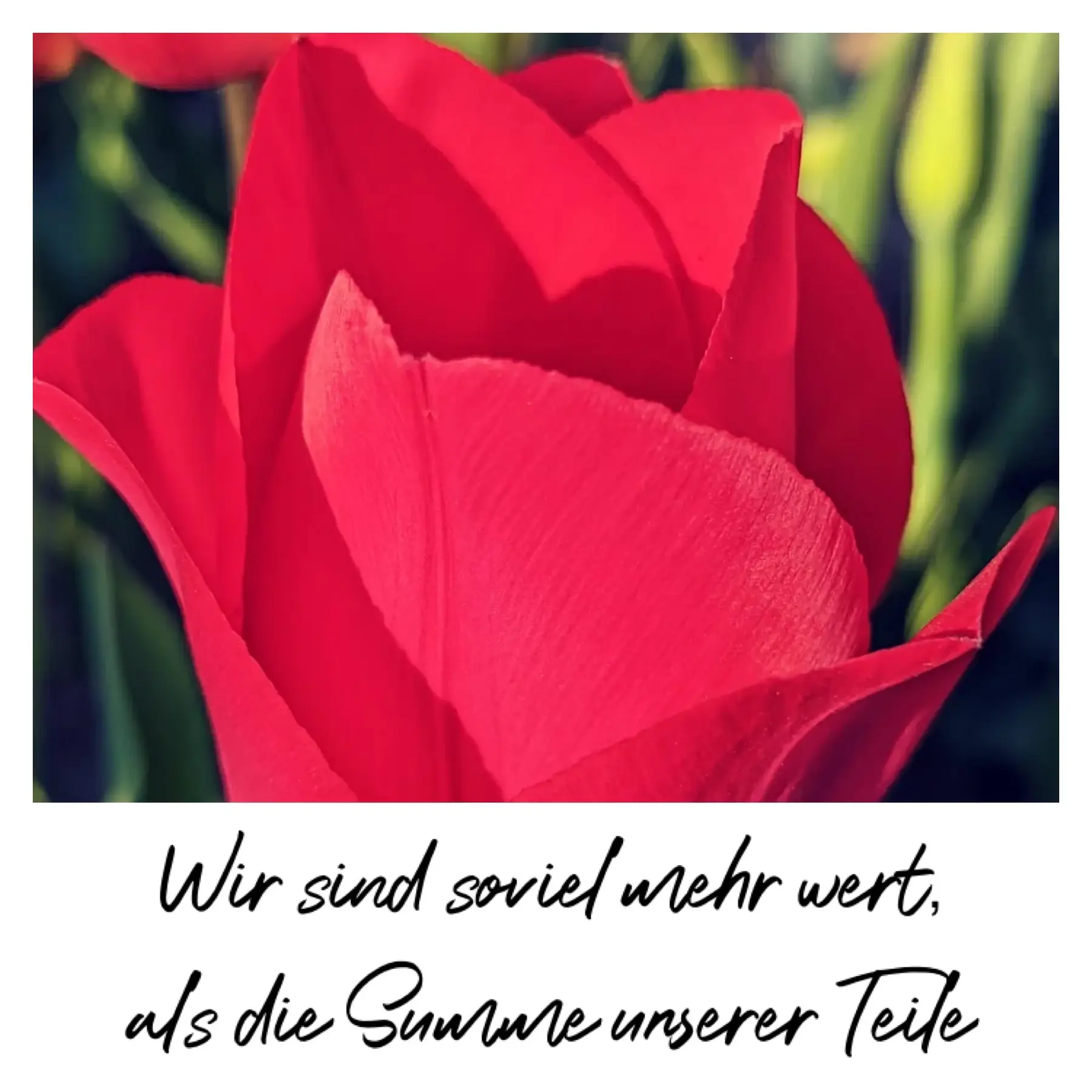 Mehr über den Artikel erfahren Wir sind so viel mehr wert als die Summe unserer Teile